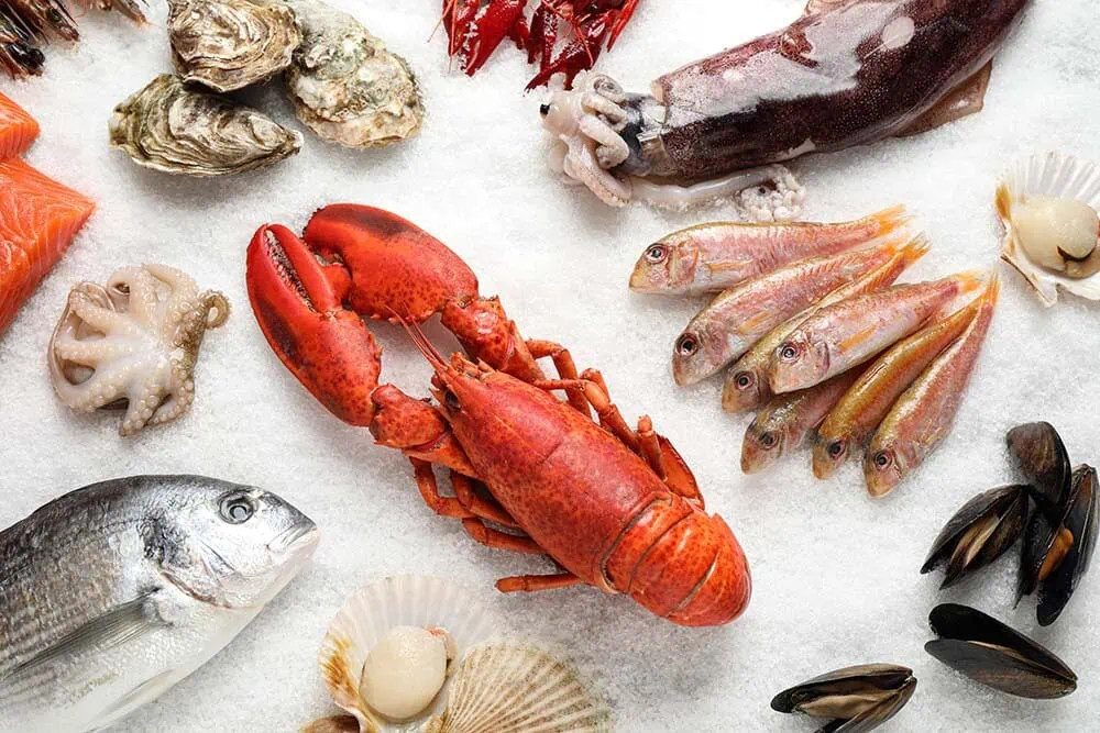 Seafood in Kavala: Our Favorite Local Choices